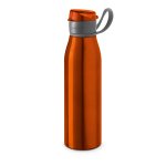 Garrafa Aluminio 650ml