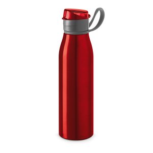 Garrafa Aluminio 650ml